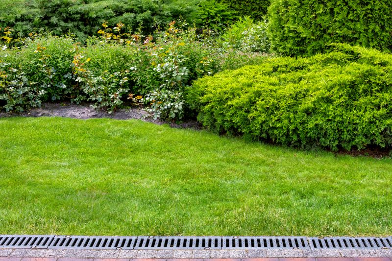 Landscape Drainage in Tuscaloosa, AL