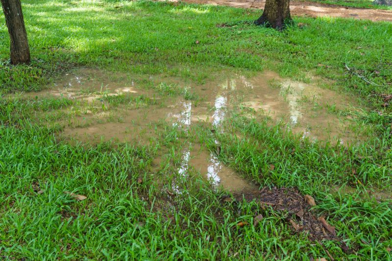 Wet Yard Drainage in Tuscaloosa, AL