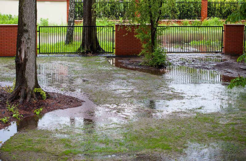 Wet Yard Drainage in Birmingham, AL